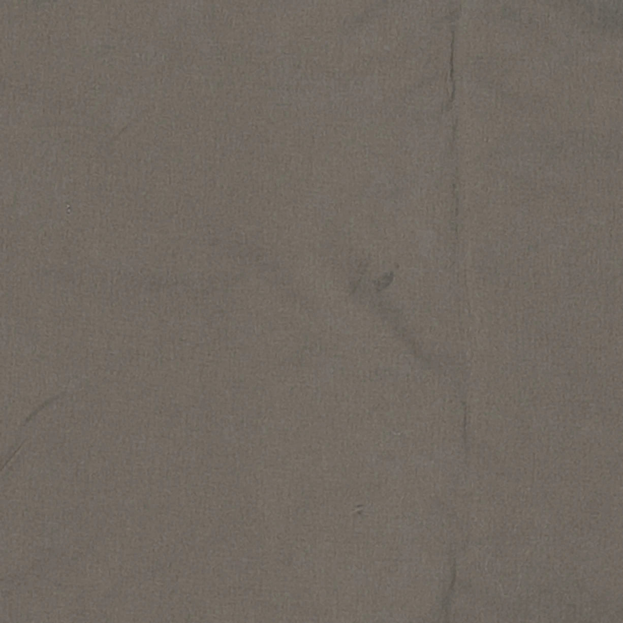 LOlive Brown