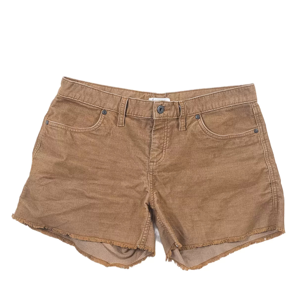 6Camel Brown