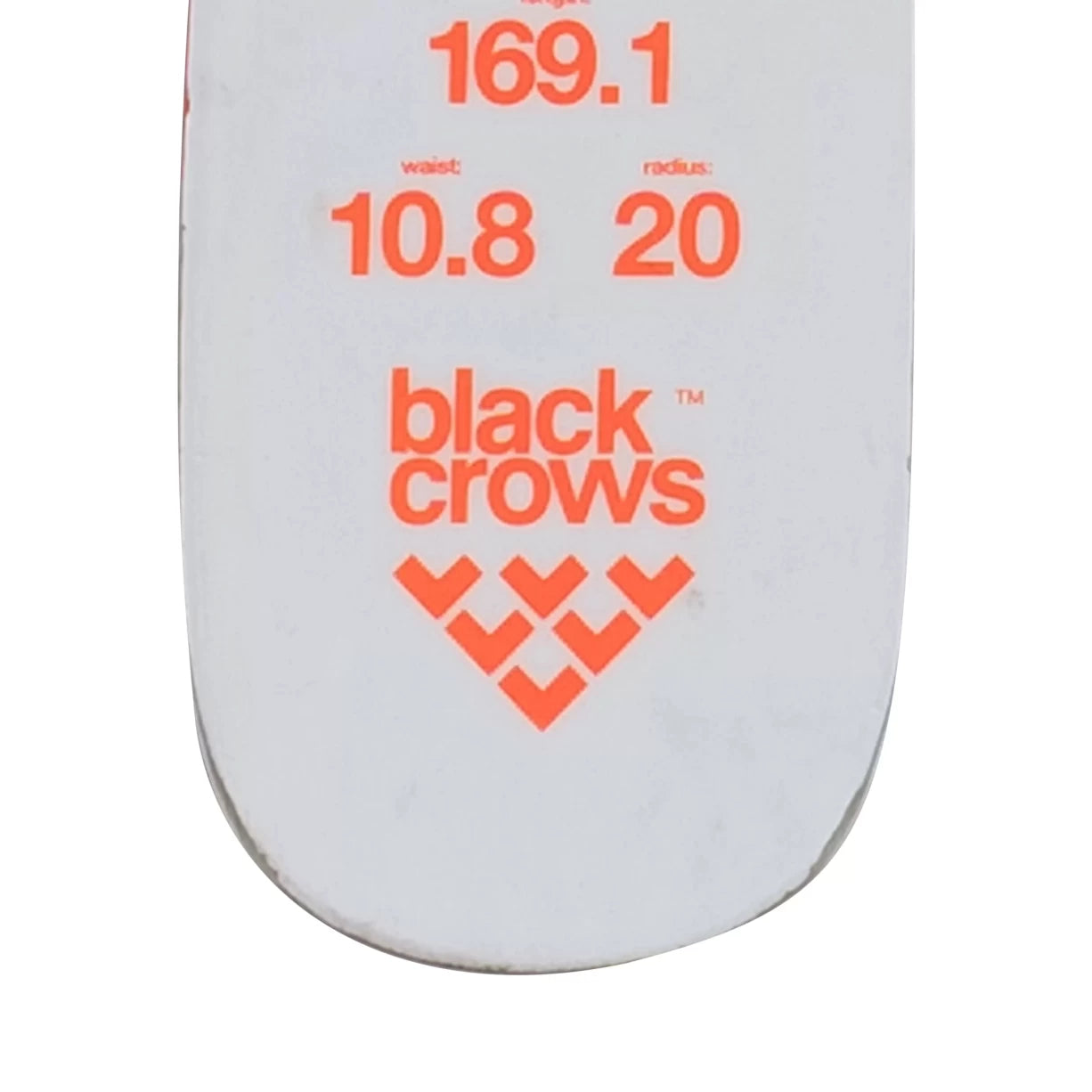 169cmCoral
