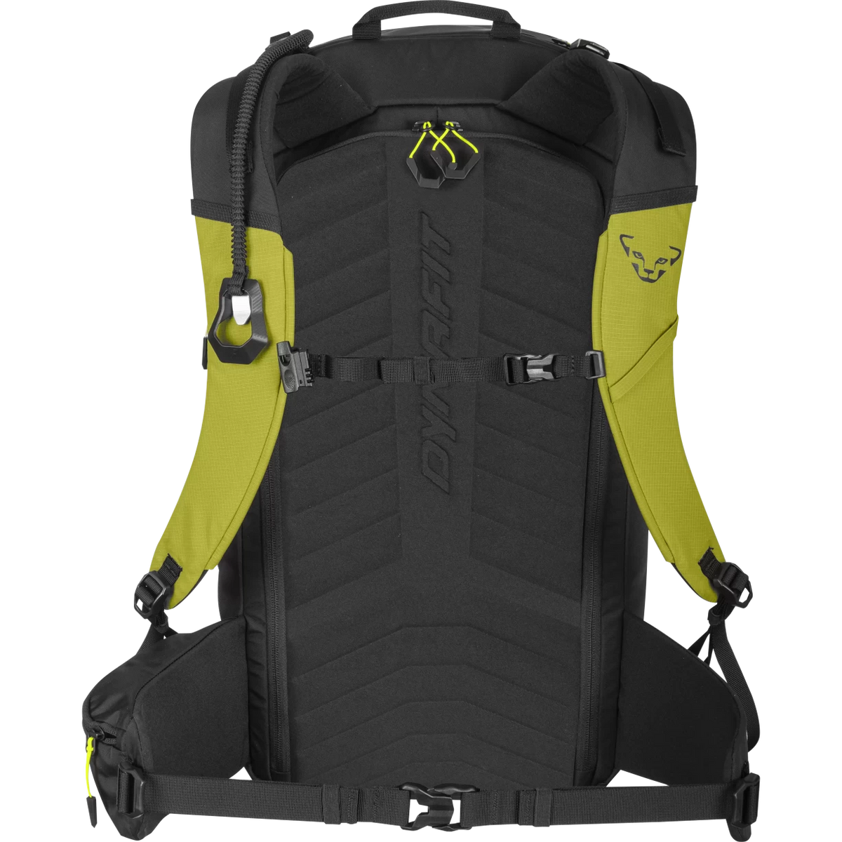 One SizeGolden Lime/Black Out