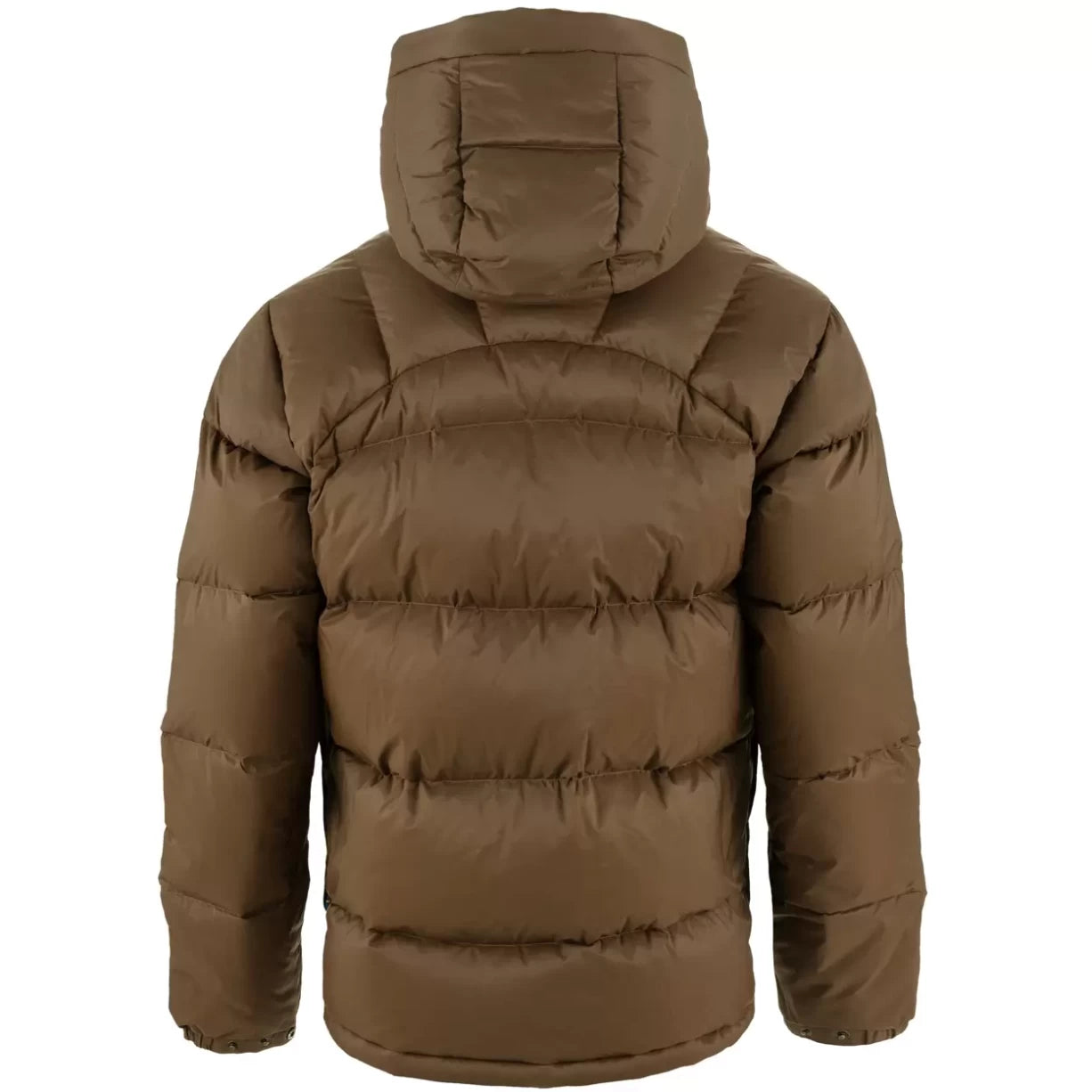 MDark Oak