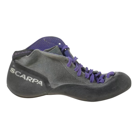 41.5Grey/Purple