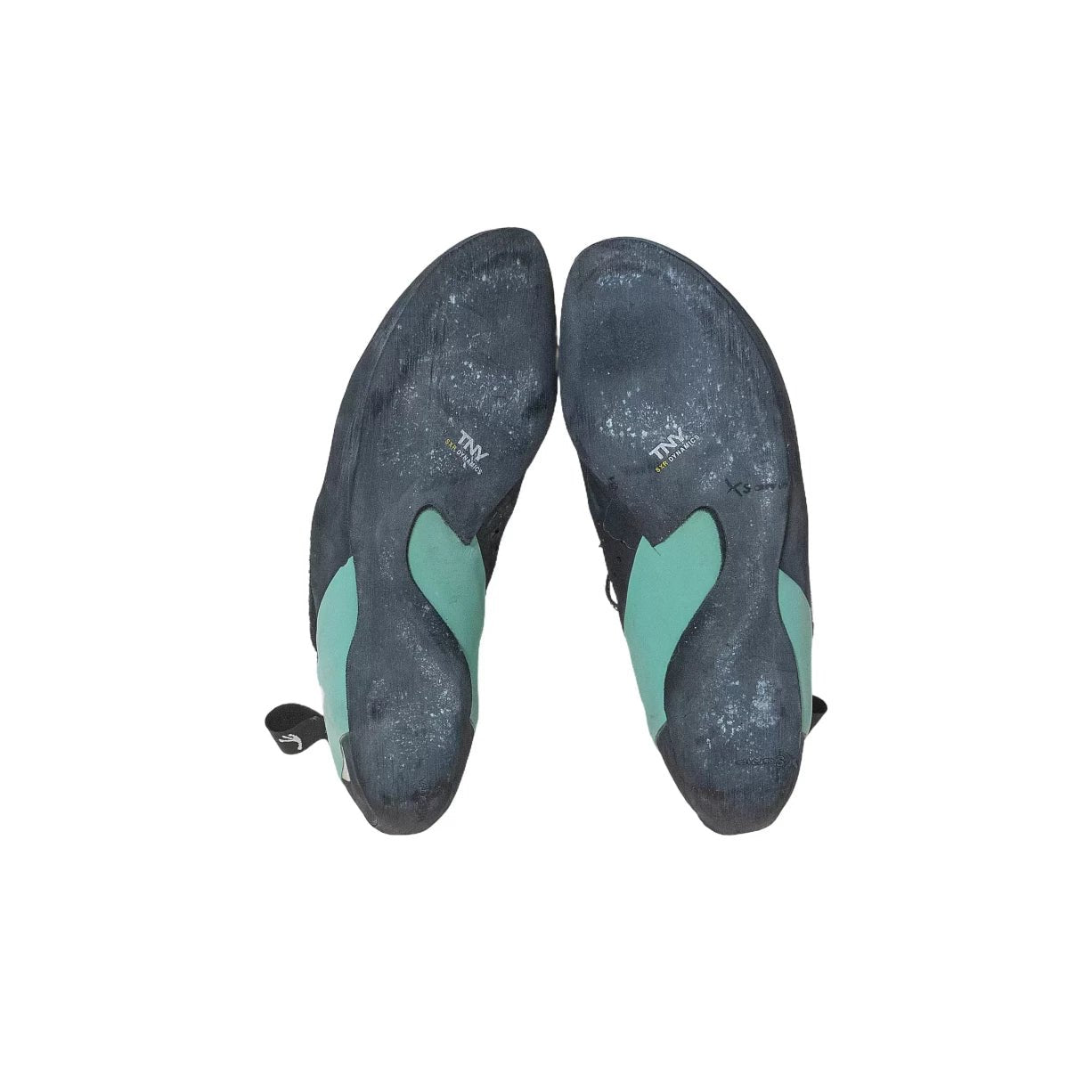 42Teal