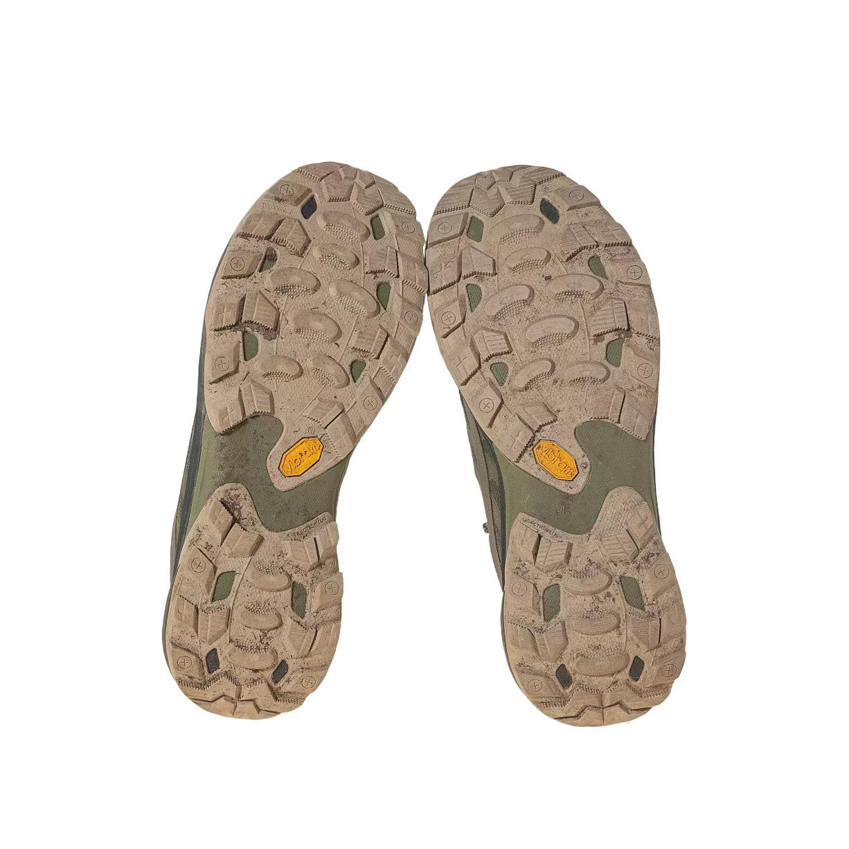 11Olive