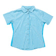 LBlue Plaid