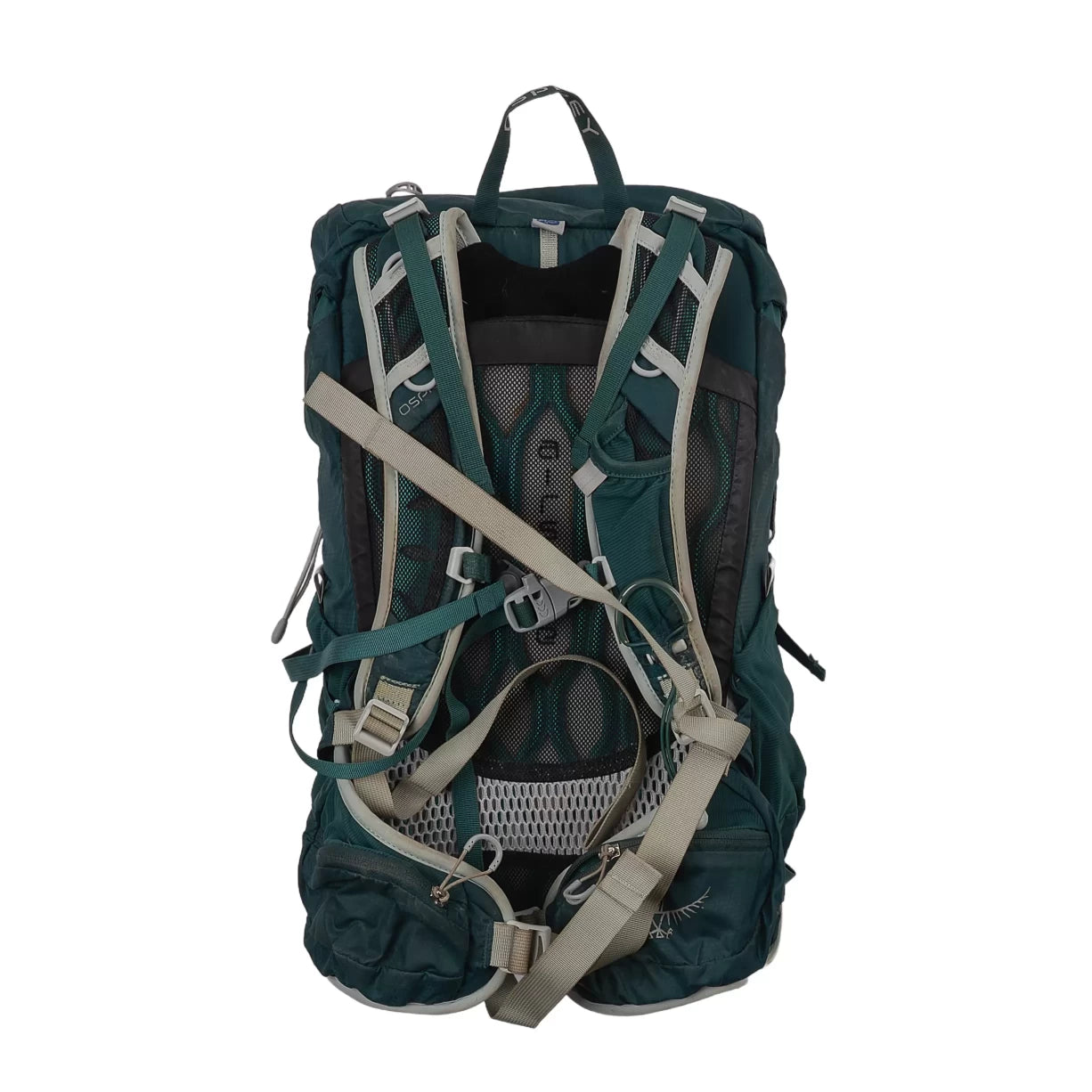 30 LTeal