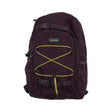 13 LPurple