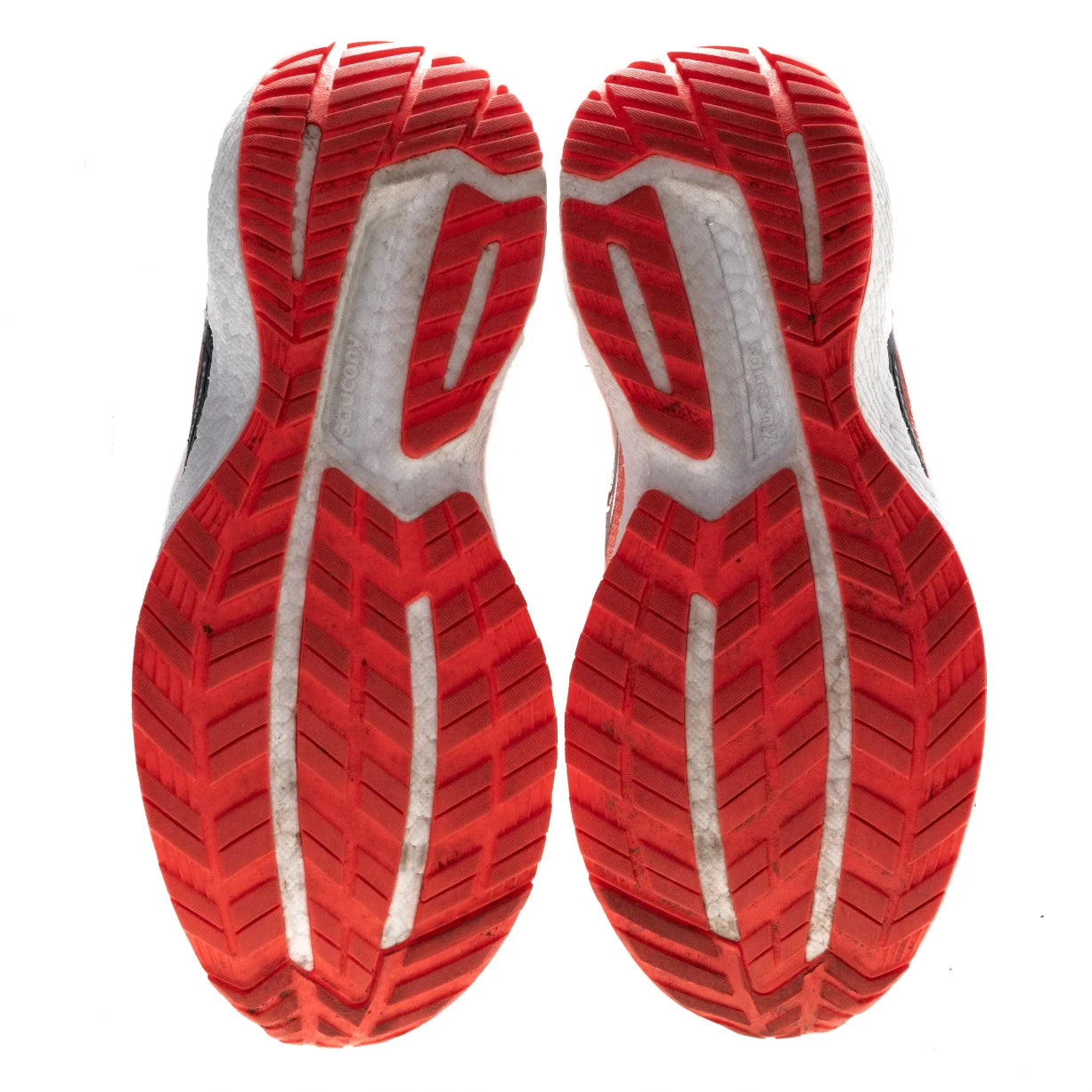 7Coral