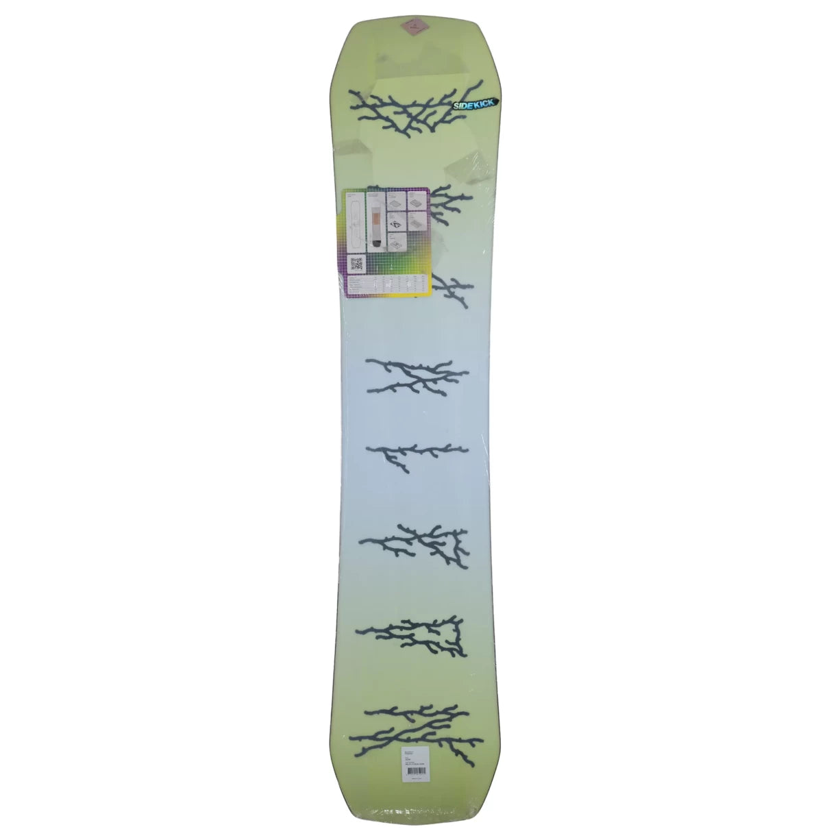 153cmNeon Green/Blue