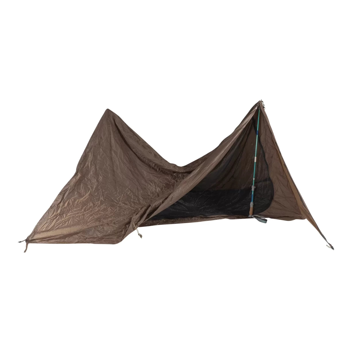 1 PersonOlive Brown