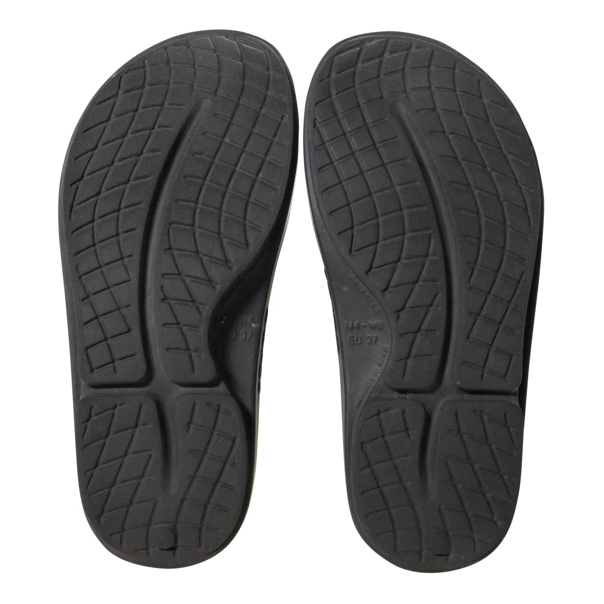 6Black