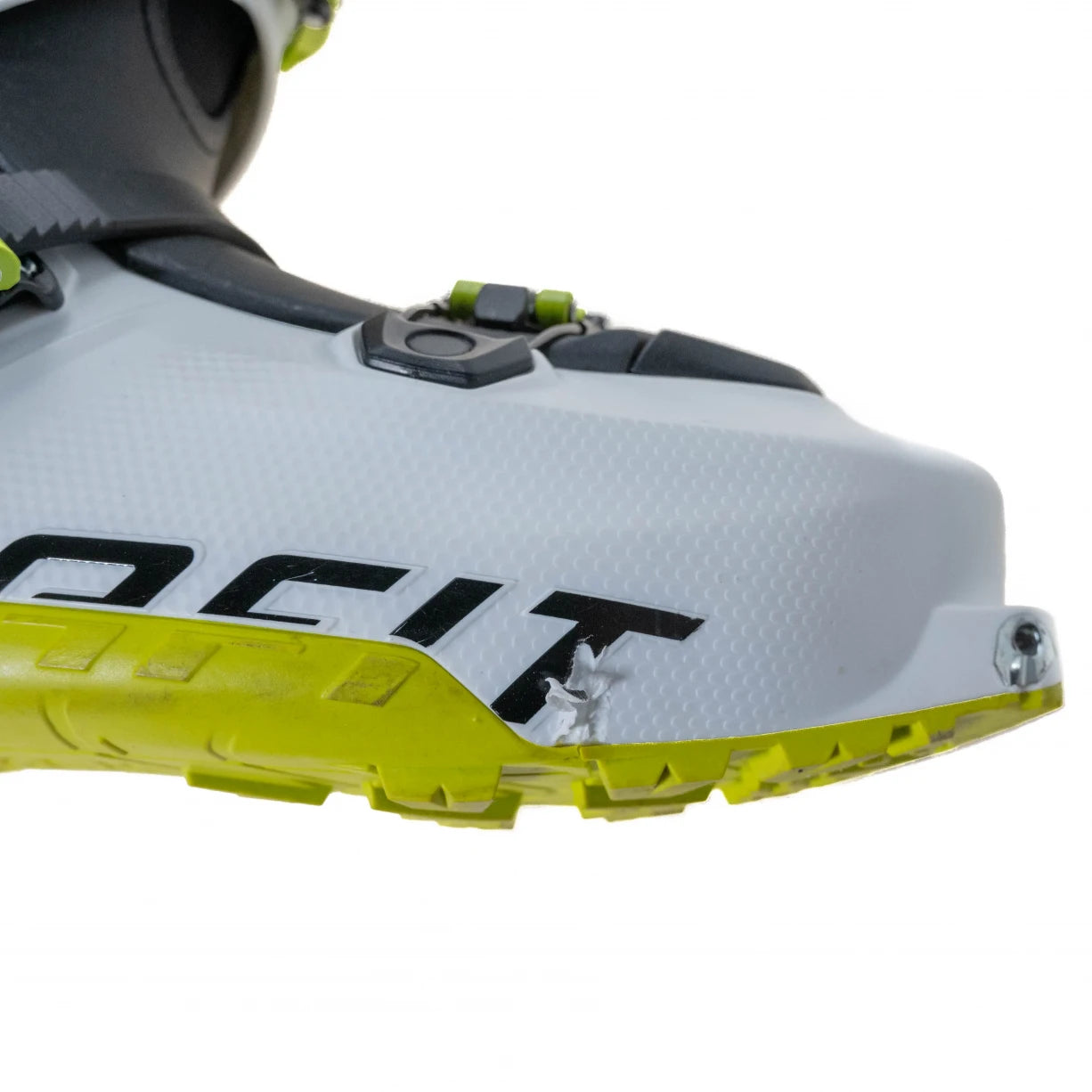 29.5White