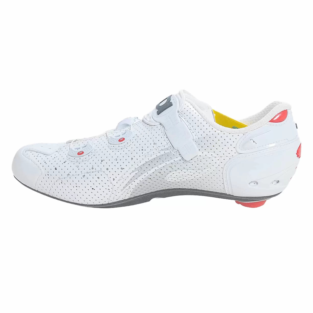 41.0White