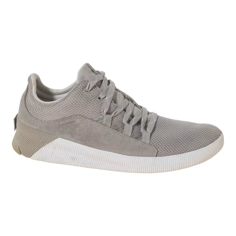 9.5Gray