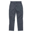 31Gray