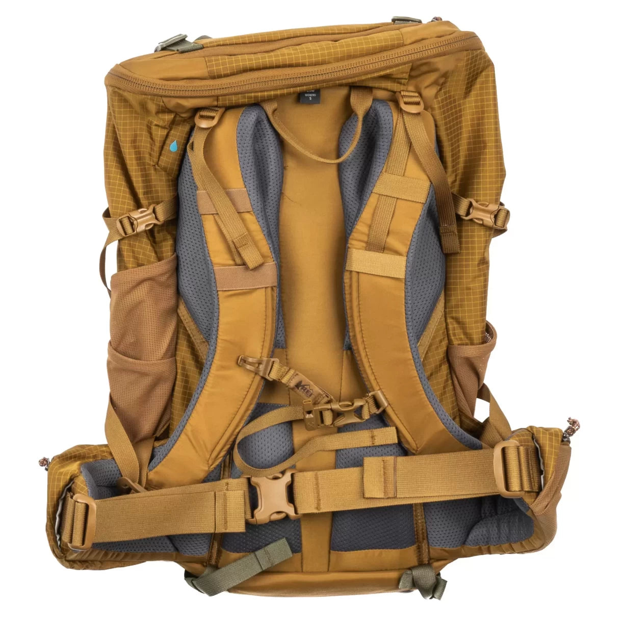 40 LCoyote