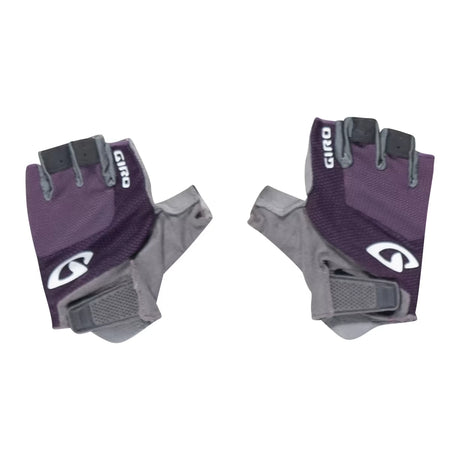 MPurple/Grey