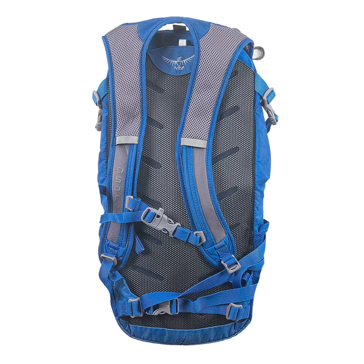 13 LBlue