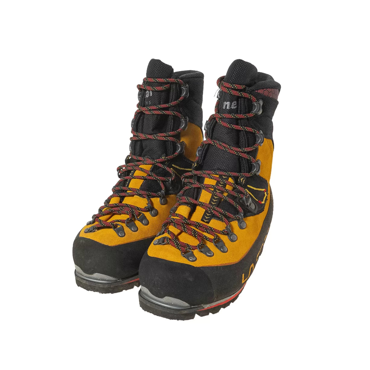 40.5Yellow/Black
