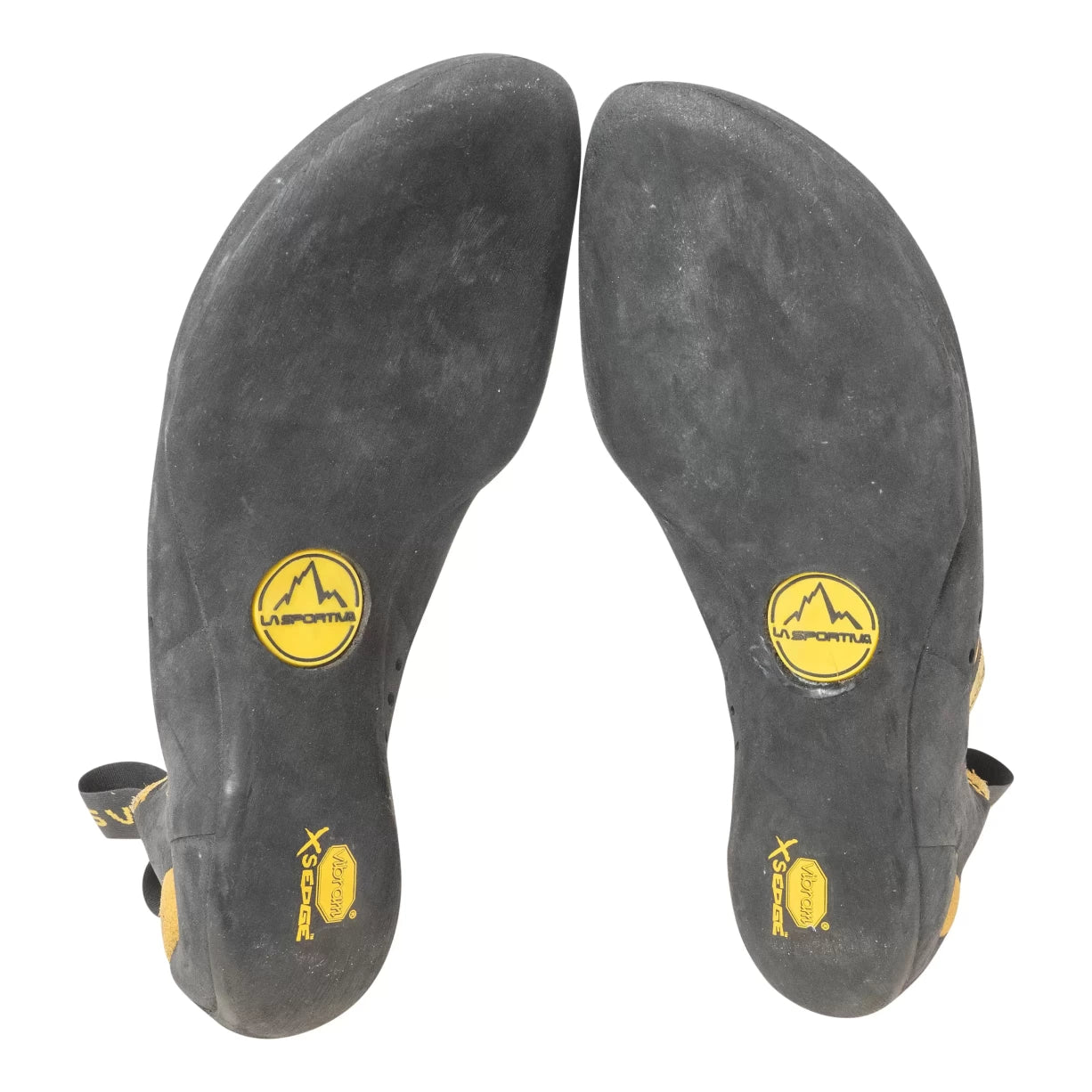 41.0Black/Yellow