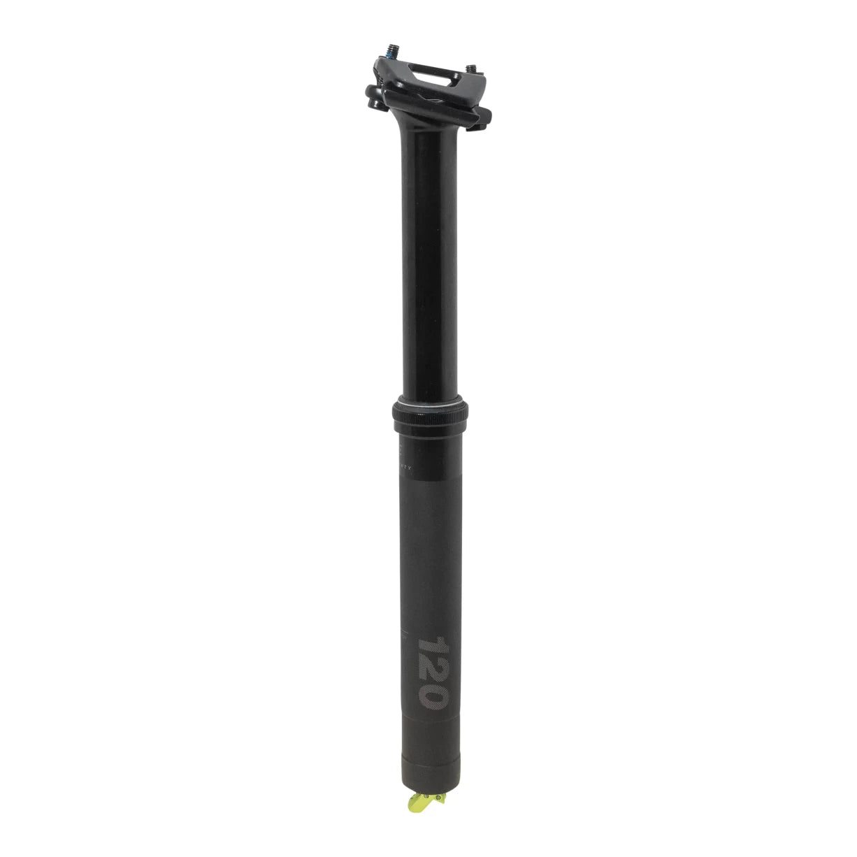 30.9Black