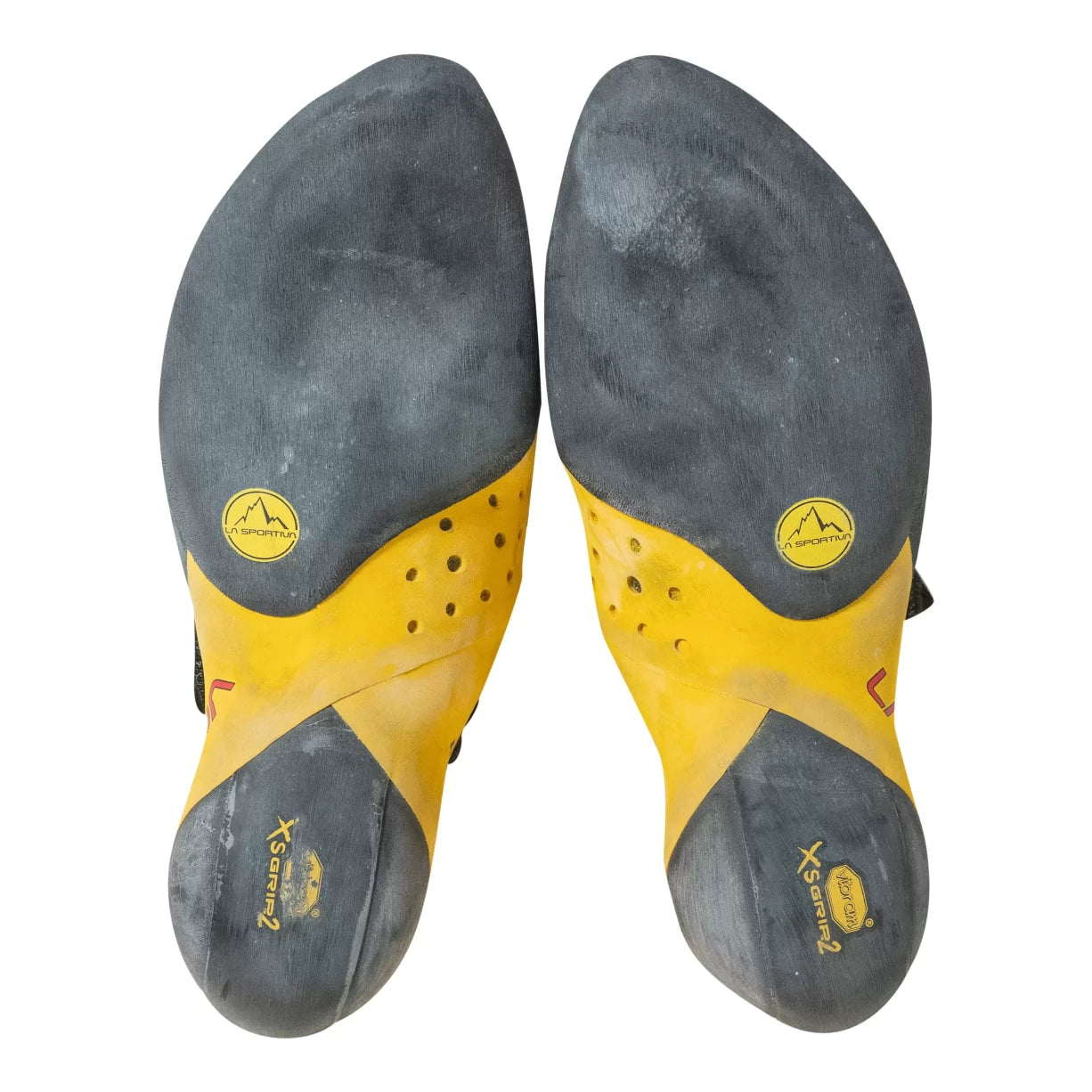 43.0Black/Yellow