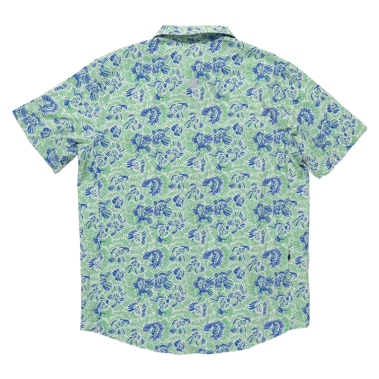 MGreen/Blue