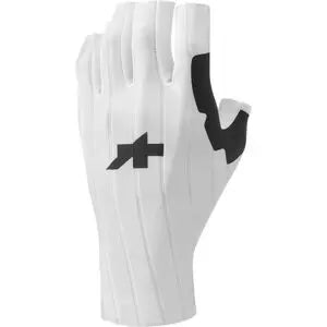   XLGholyWhite