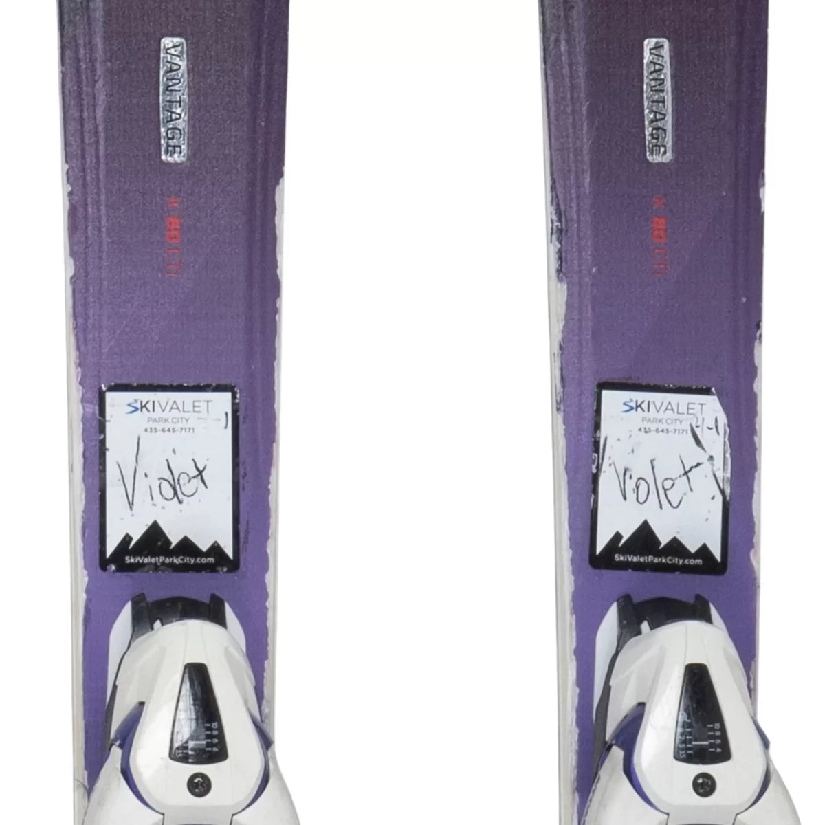 15cmPurple
