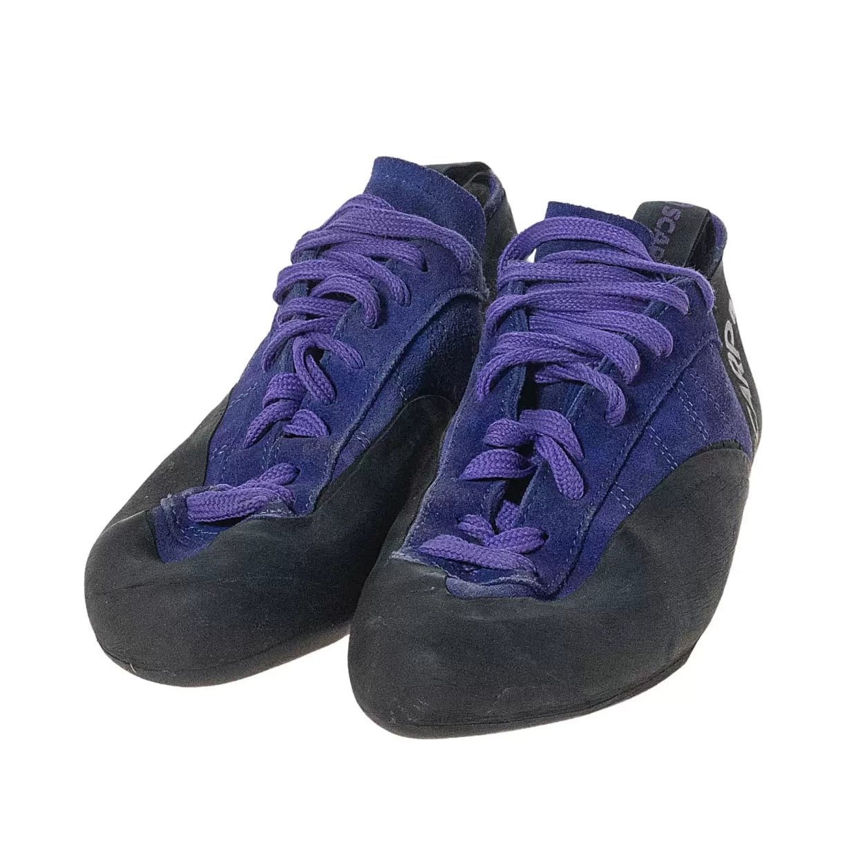 41.5Purple