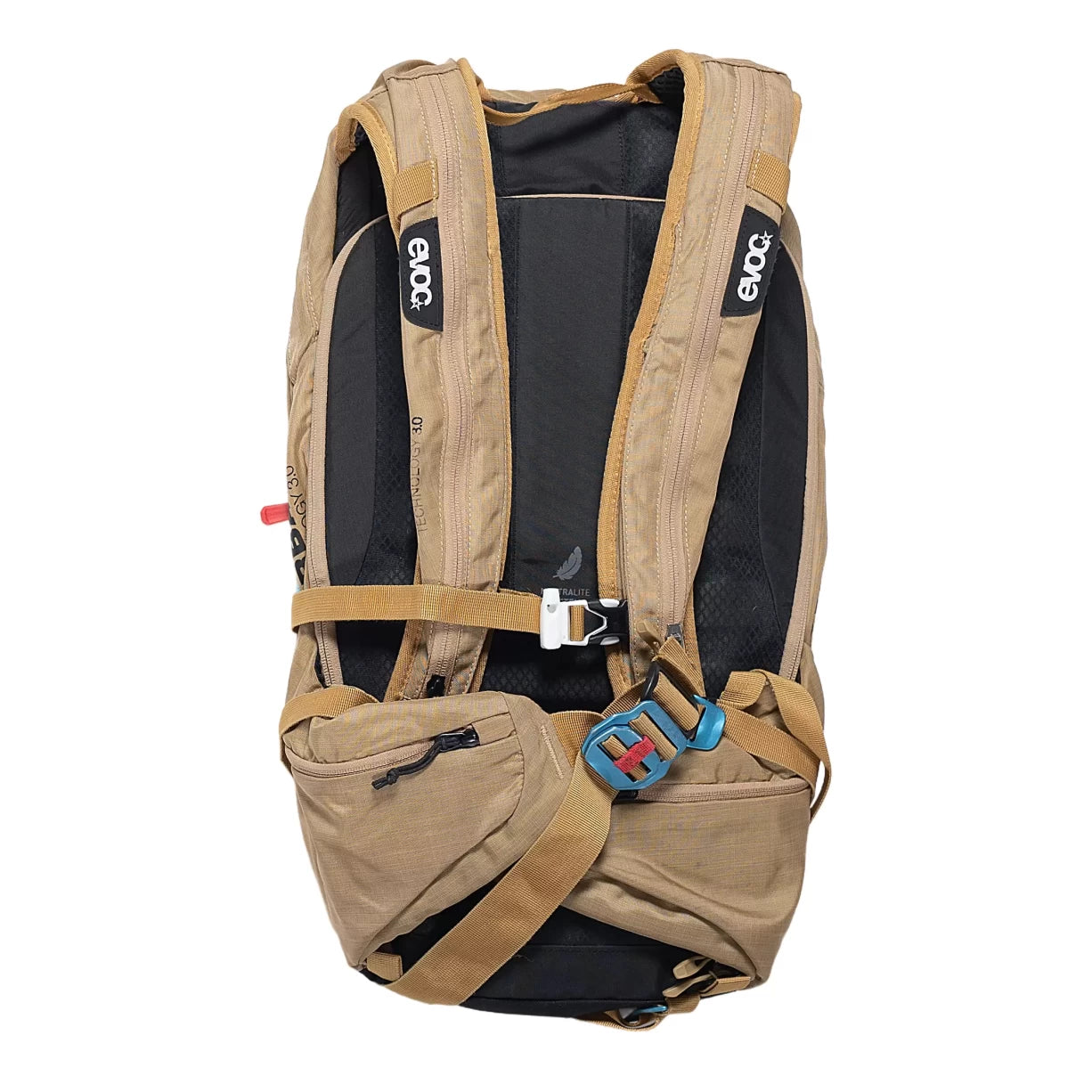 20 LBrown