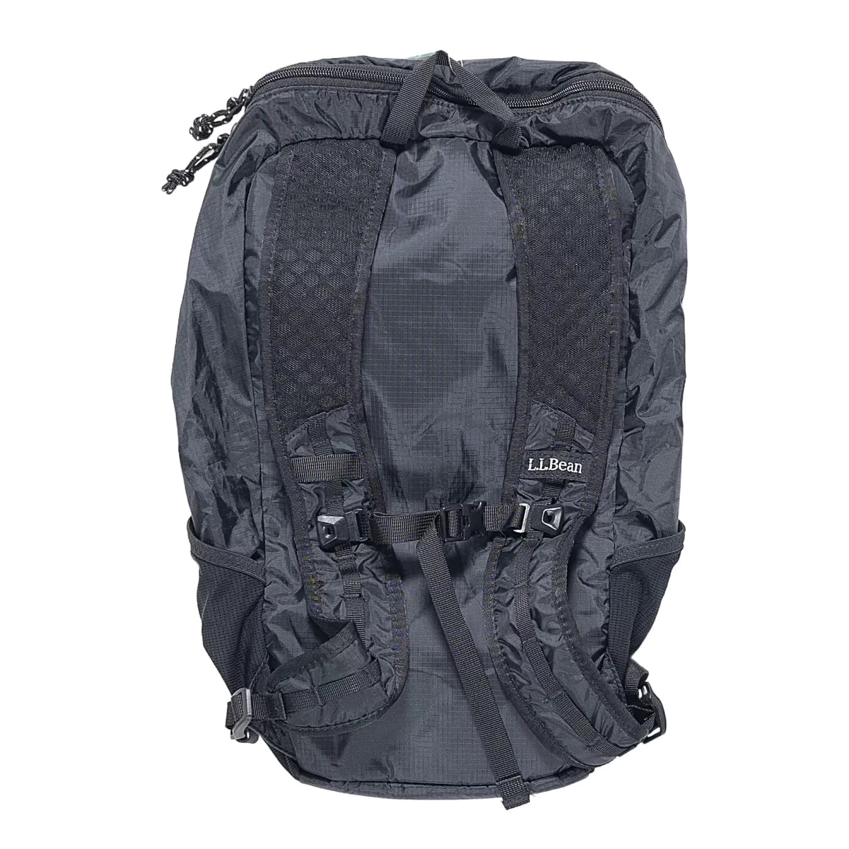 13 LBlack