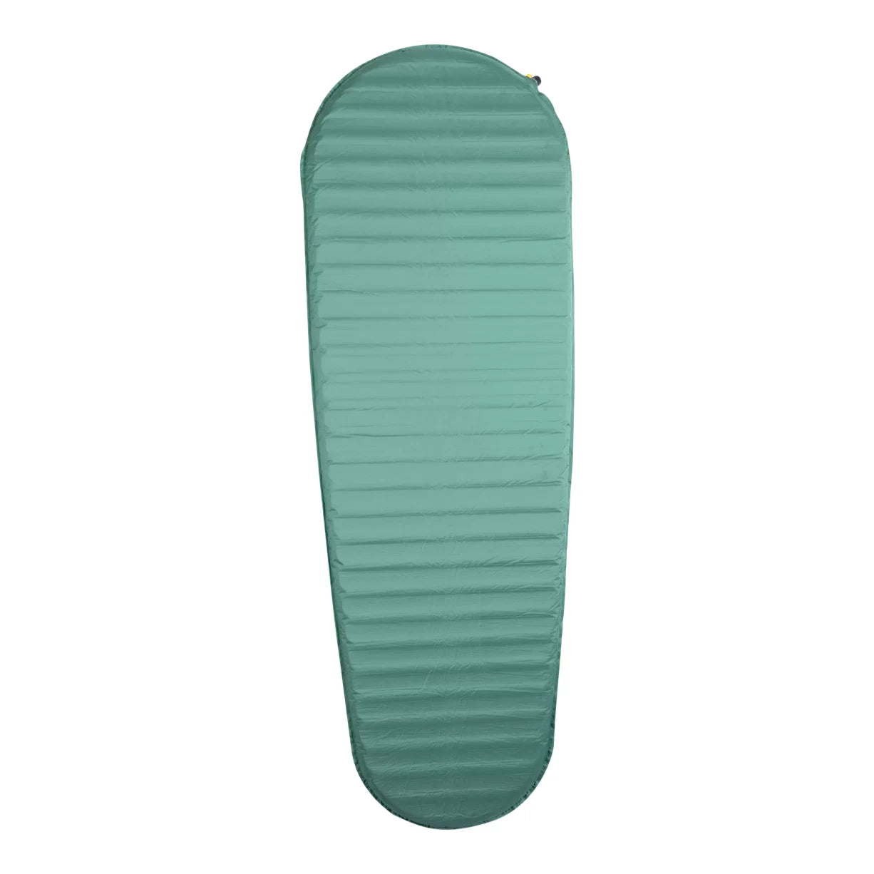 Regular WideGreen