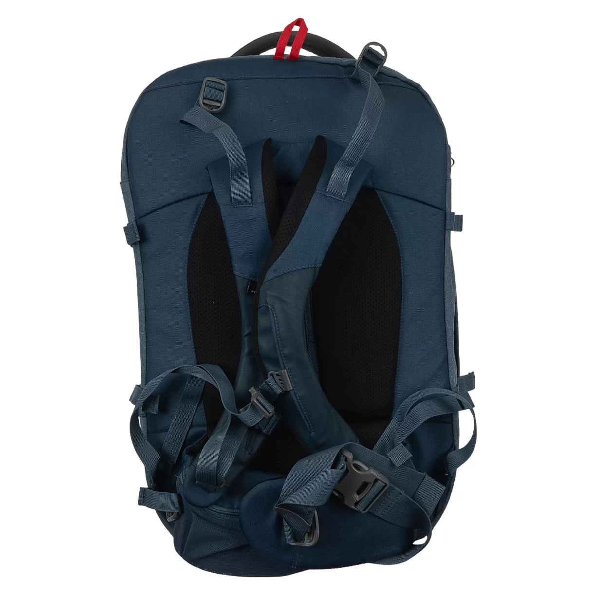40 LBlue