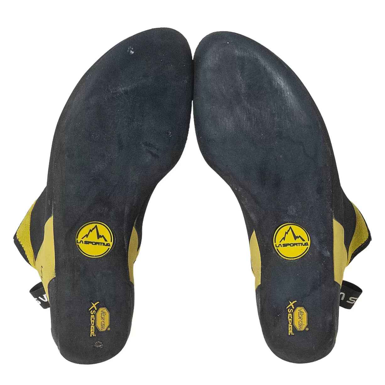 43.5Black/Yellow