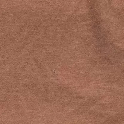 LBurnt Orange