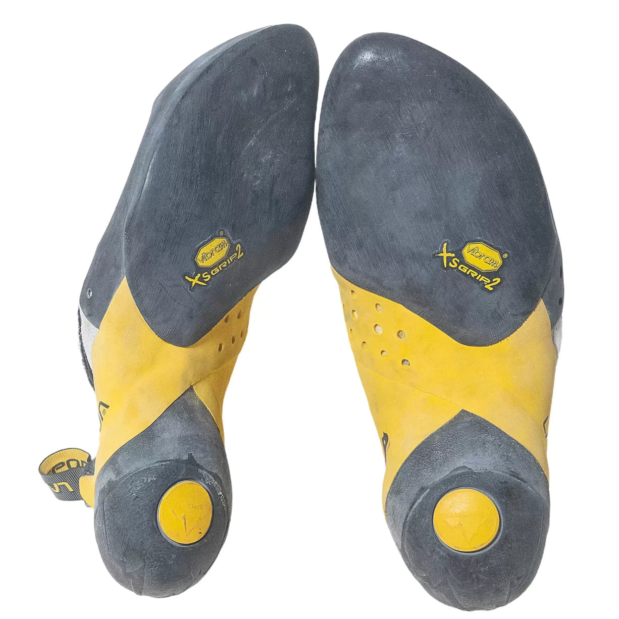 41.0Black/Yellow