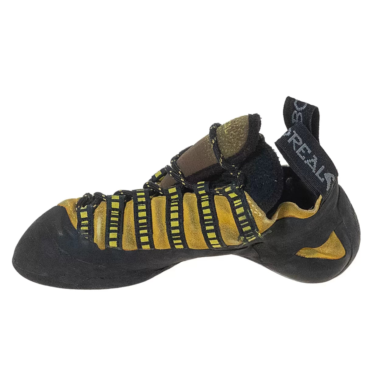 6Yellow/Black