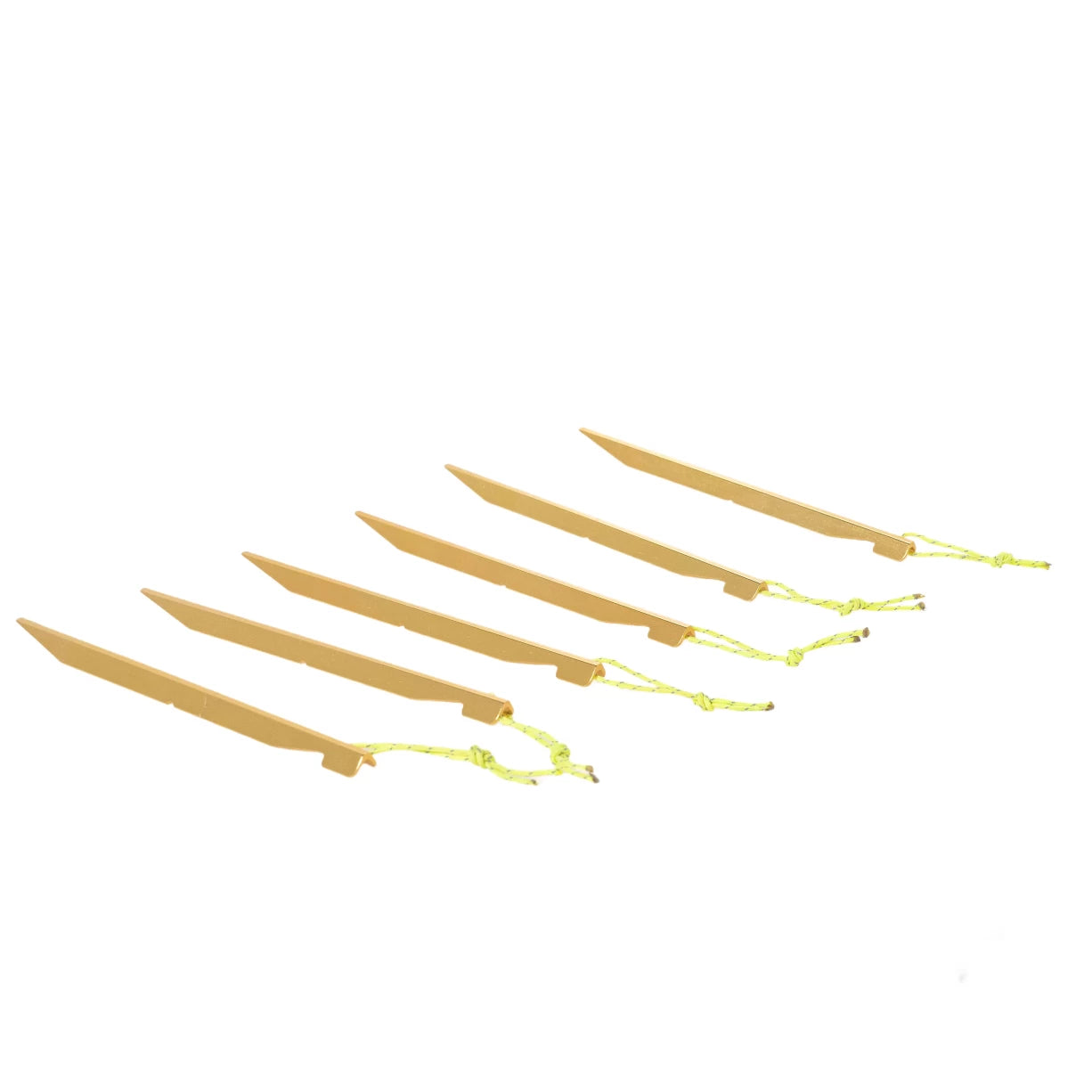 6Gold