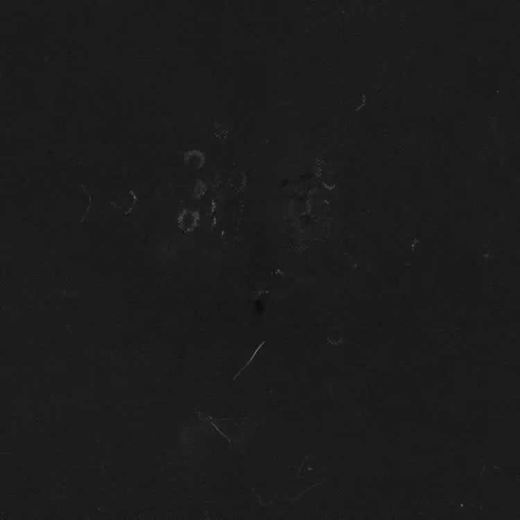 One SizeBlack/Red