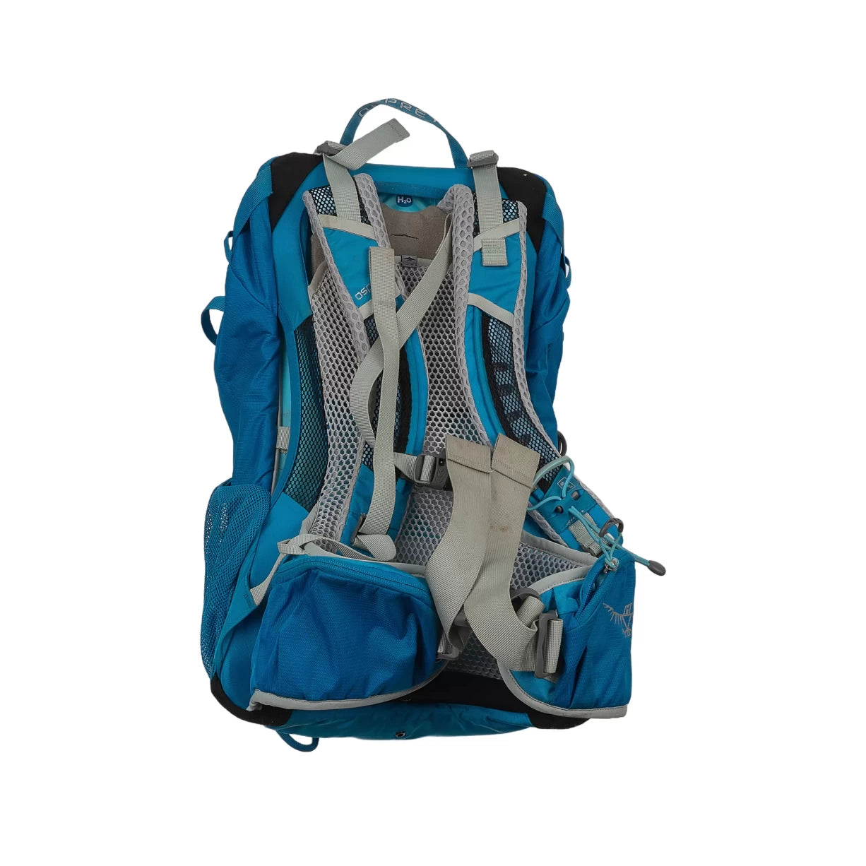 24 LBlue