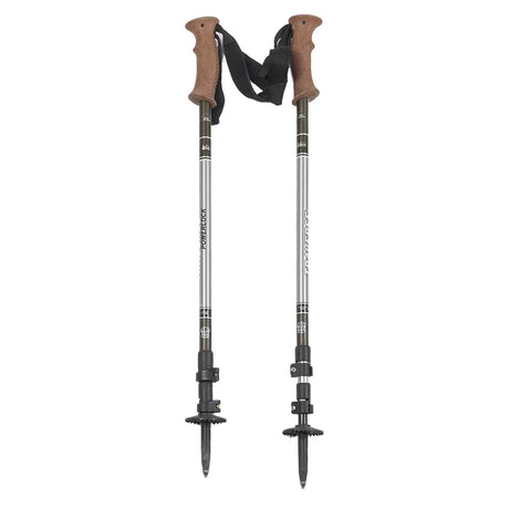 AdjustableSilver