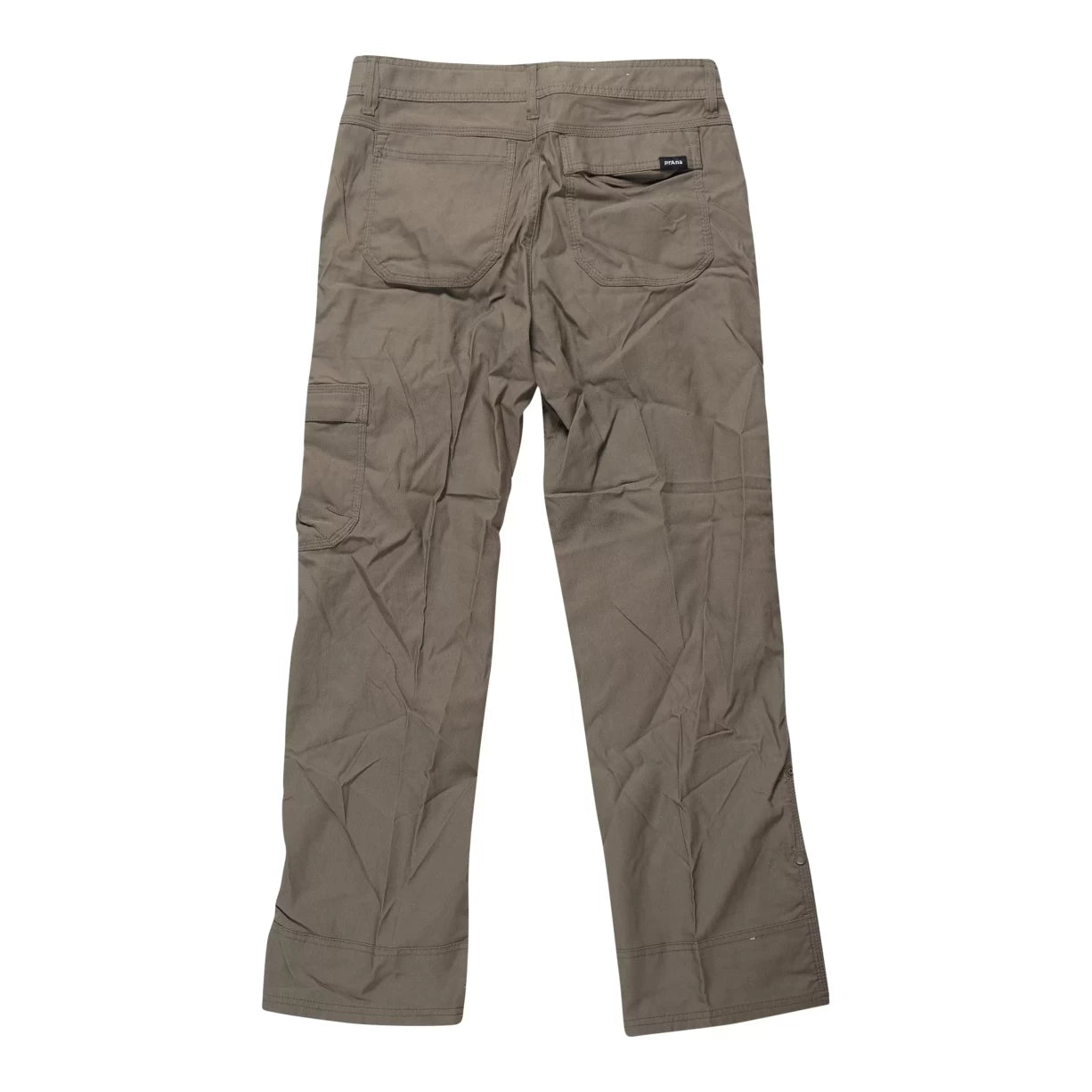 31Olive