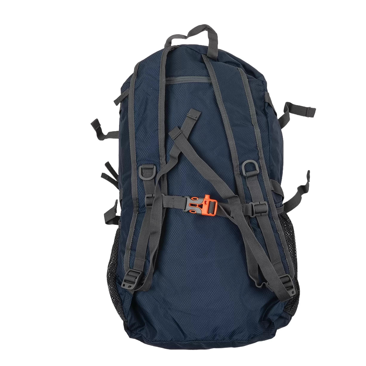 40 LBlue