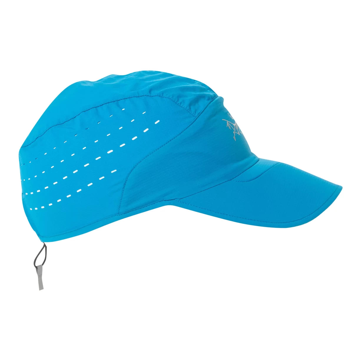 AdjustableBlue