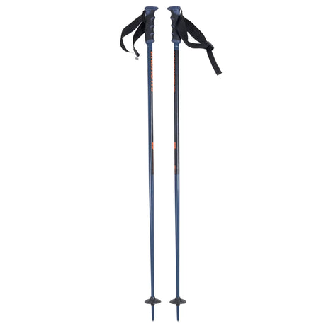 Salomon Arctic S3 Ski Poles