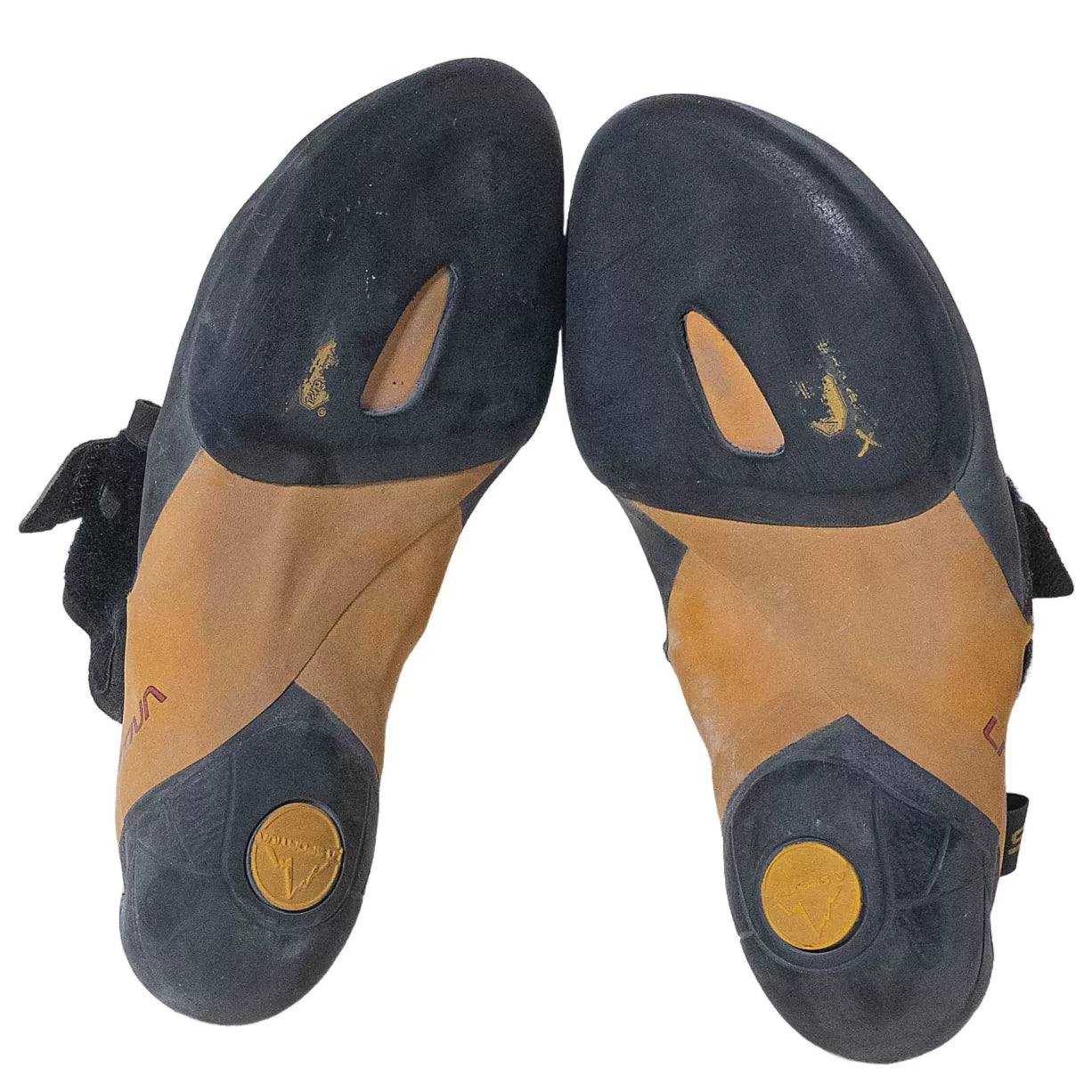 40.5Black/Yellow