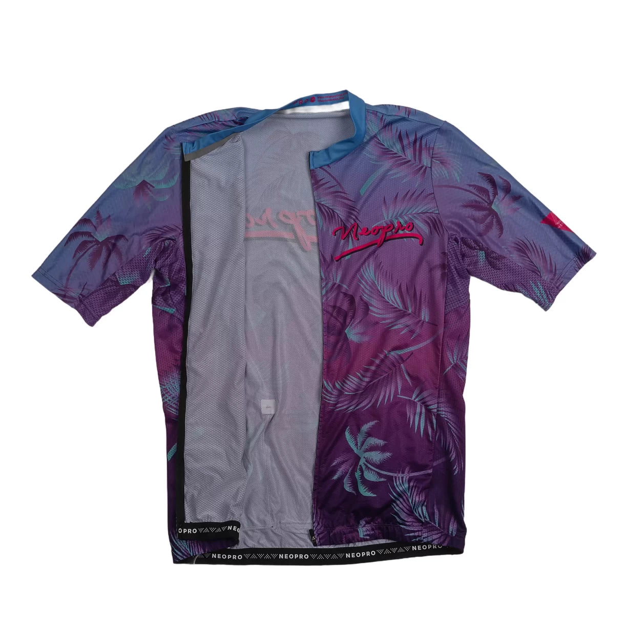 2XLPurple/Blue