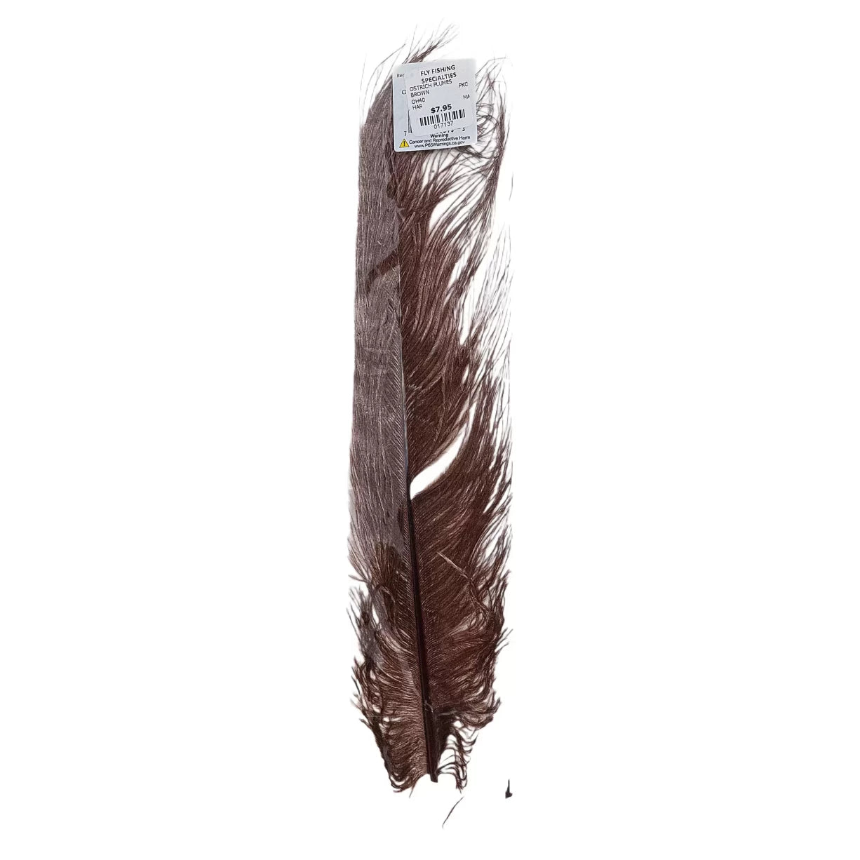 One SizeBrown