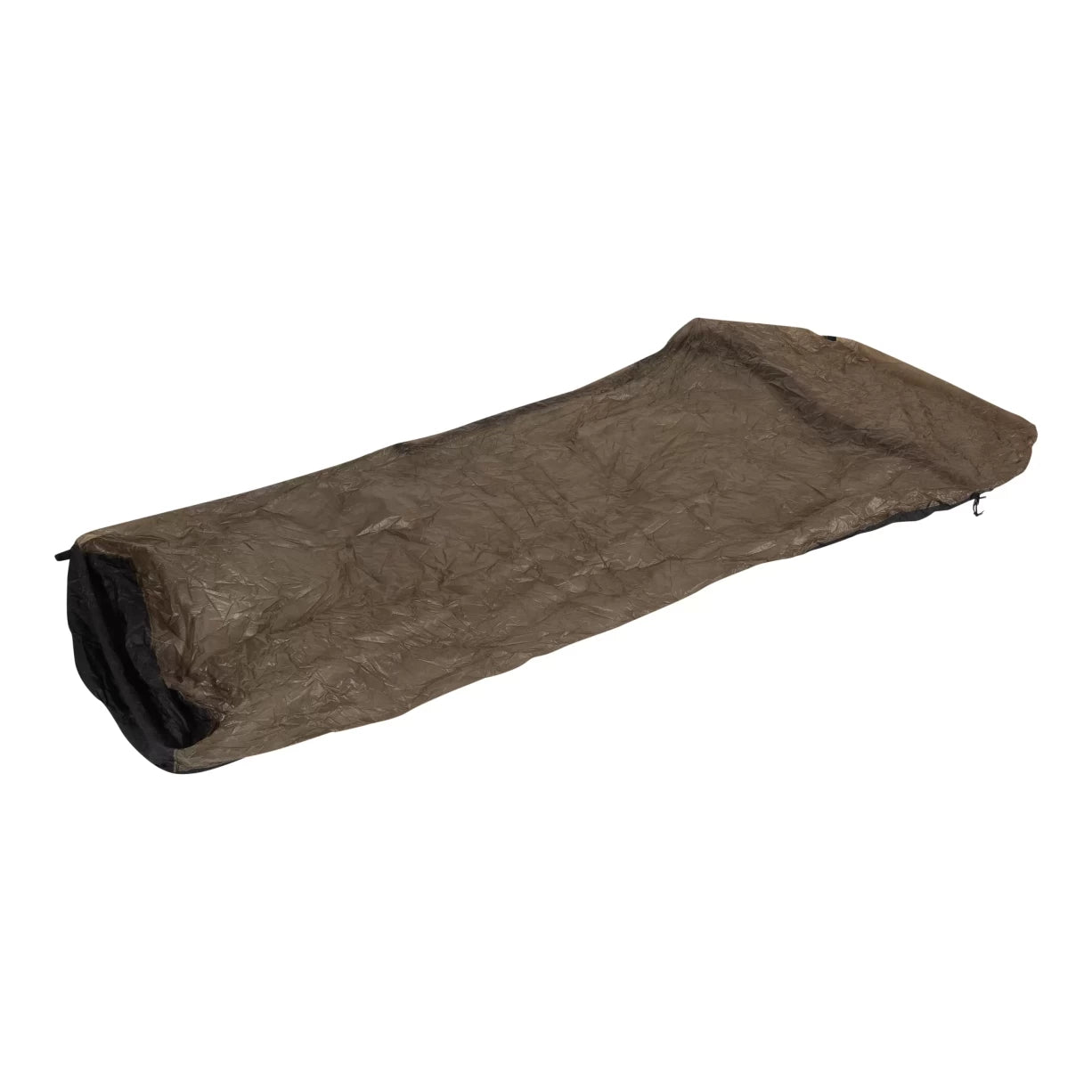 LargeBlack/Olive